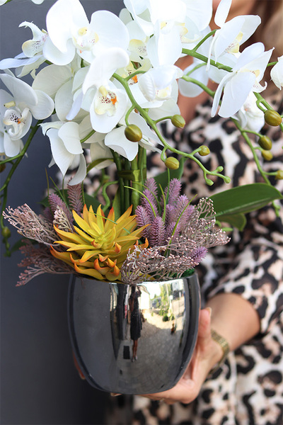 Jeanne Suculenti, storczyk w srebrnej doniczce