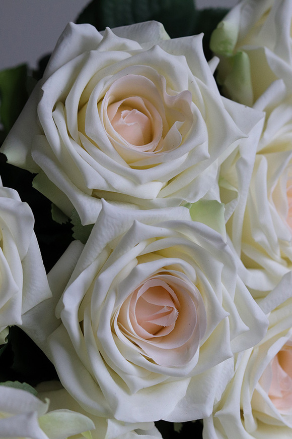 Cremma, bukiet 20-stu wysokiej jakości róż, dł. 70cm