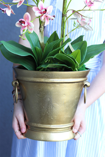 gumowy storczyk w złotym coolerze, Pink Golden Tresta