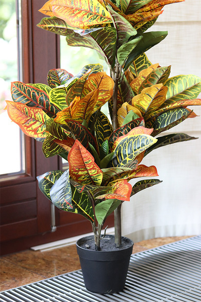 Kroton, sztuczne drzewko w doniczce