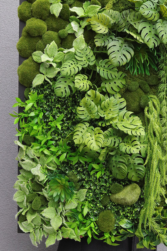 Black Frame Brazilea, czarna jednostronna rama sukulenty