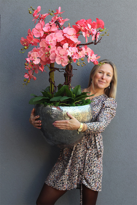 Coralla, różowy storczyk w metalowej osłonce