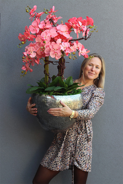 Coralla, różowy storczyk w metalowej osłonce