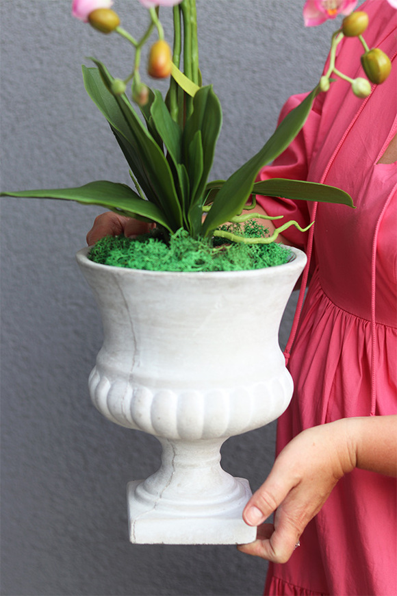  Filomena 2, gumowy różowy storczyk w pucharze