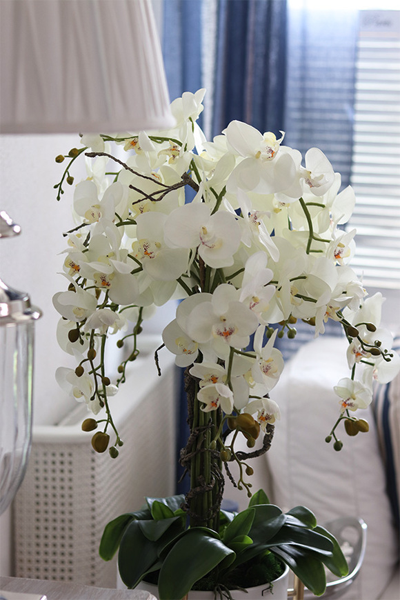 elegancki storczyk podłogowy w srebrnej donicy, Silverio, wys.130cm