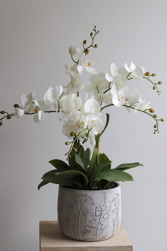 Modern Meadow, stylowy storczyk w doniczce ze wzorem