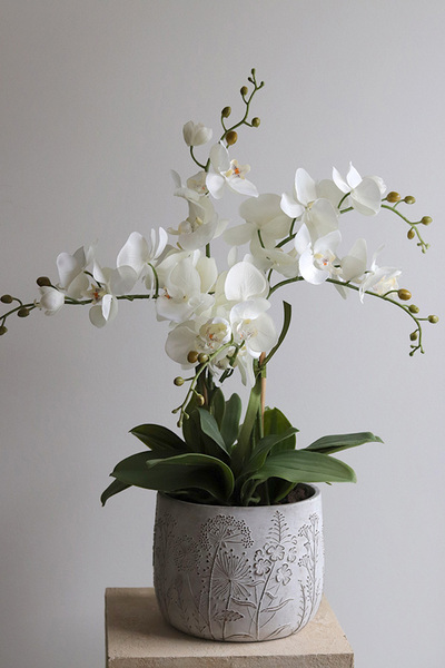 Modern Meadow, stylowy storczyk w doniczce ze wzorem