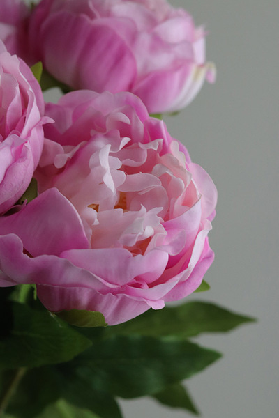 Real Peony, bukiet realistycznych peonii