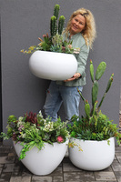 Cruzita Cacti 2 Fiberglass, sukulenty w owalnej donicy