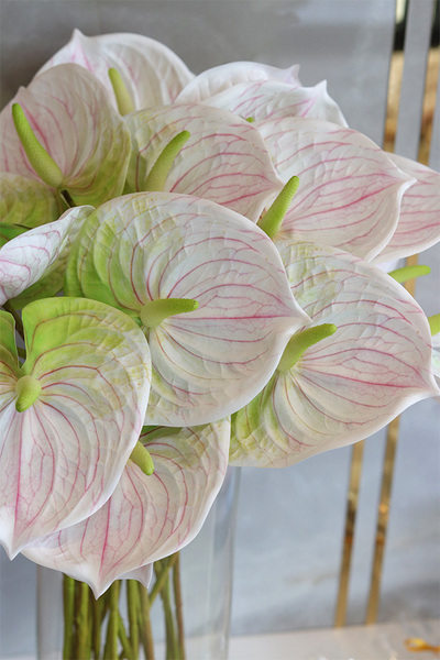 Anturium Secret of Flowers, bukiet kwiatów do wazonu