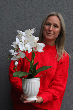 Apolonia Perane Biel, storczyk w ceramicznym pucharze, wys.52cm