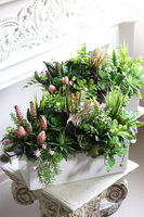 Fragana, kompozycja sukulenty w białej donicy