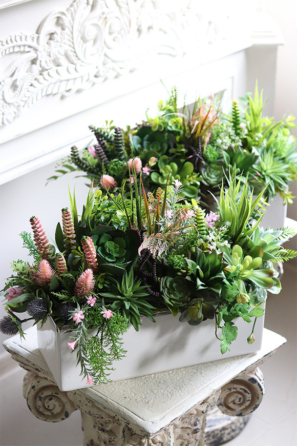 Fragana, kompozycja sukulenty w białej donicy