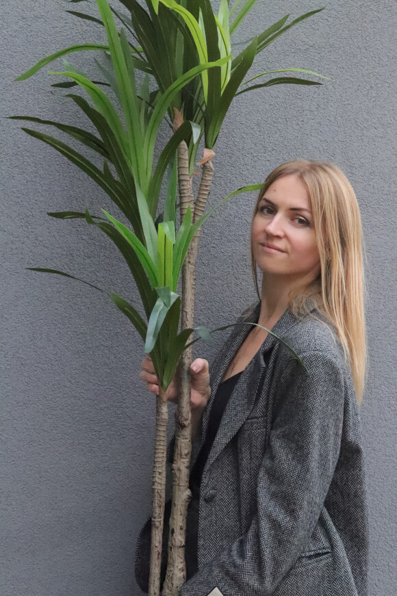 Jukka Mexicana, sztuczna roślina drzewko