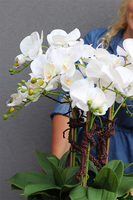 Hotels Deluxe, gumowy storczyk w srebrnej misie