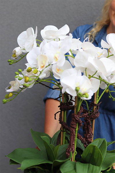 Hotels Deluxe, gumowy storczyk w srebrnej misie