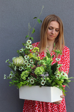 Green World Protea, kompozycja kwiatowa, wym.50/75x64x25cm