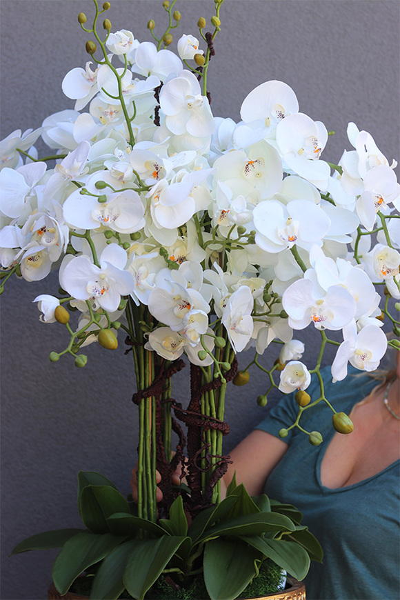 Goldenario Premium, biały storczyk w złotej donicy