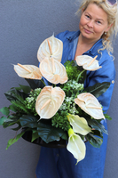 Anturium Cappucino, komplet dekoracji nagrobnych