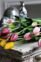 bukiet tulipanów silikonowych, Aprill Purple Spring