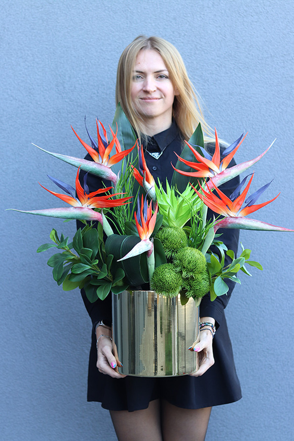 Strelicje Królewskie, kompozycja ze strelicją w złotej donicy, wys.64cm