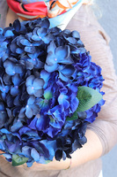 Navy Hydrangea, flowerbox niebieskie hortensje