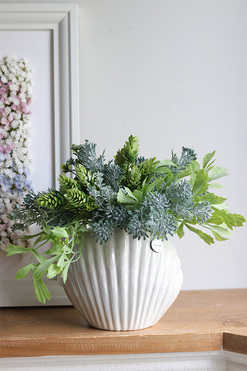 Antylla Marino Shell, kompozycja sukulenty w muszli, wym.26x35cm 