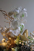 Amarylis Landia, zimowa kompozycja w osłonce