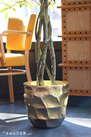 Klon Japoński, sztuczna roślina w złotej donicy