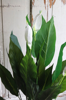 Skrzydłokwiat, sztuczna roślina w osłonce z tworzywa sztucznego, wys.95cm