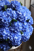 bardzo bogaty kosz hortensji, Blueste Provance, wym.56x47cm   