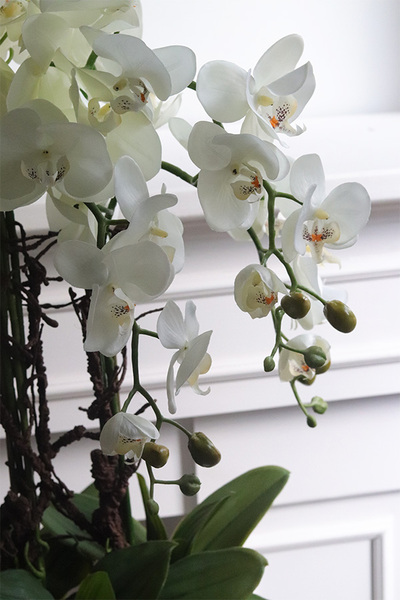 sztuczny storczyk w wąskiej donicy