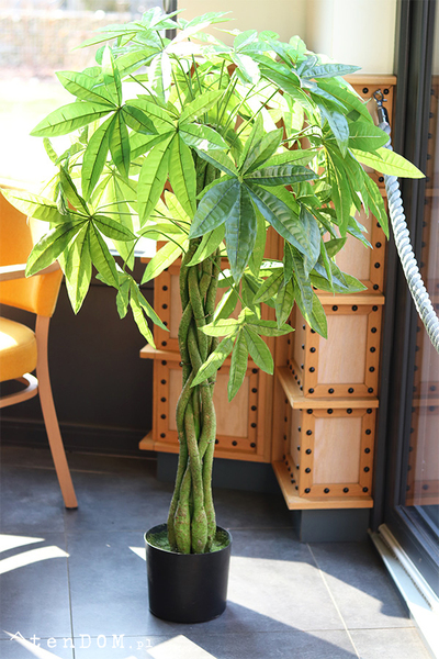 Kasztanowiec, sztuczna roślina w doniczce