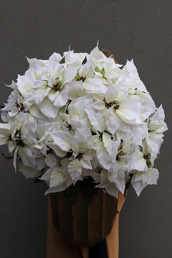 Gwiazda Betlejemska Palace, sztuczna roślina w donicy