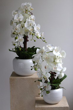 Bielleni, stylowy storczyk w doniczce ze wzorem, wys.55cm