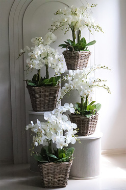 Rattania Provance C, sztuczny storczyk w wiklinowym koszu, wys.67cm 