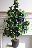 Fikus formowany, sztuczna roślina w doniczce
