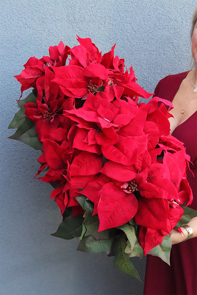 Gwiazda Betlejemska Saute 2, sztuczna roślina do twojej donicy