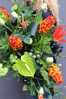 Nefretti Volcan, kompozycja nagrobna w betonowej misie, wym.52x90x65cm