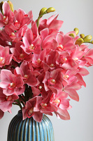 Cymbydium, bukiet gumowych storczyków