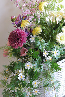 Spring Provance, dekoracja kwiatowa w koszu