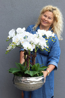 Hotels Deluxe, gumowy storczyk w srebrnej misie