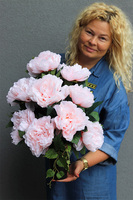 pastelowy bukiet nagrobny we wkładzie, Peonies