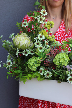 Green World Protea, kompozycja kwiatowa, wym.50/75x64x25cm