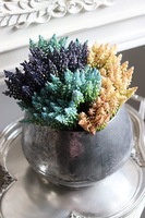 Szafirki, bukiecik turkus