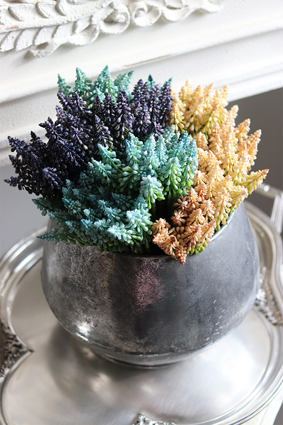 Szafirki, bukiecik turkus