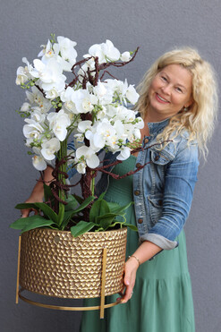 Goldenario Big, biały storczyk w złotej donicy, wys.91cm 