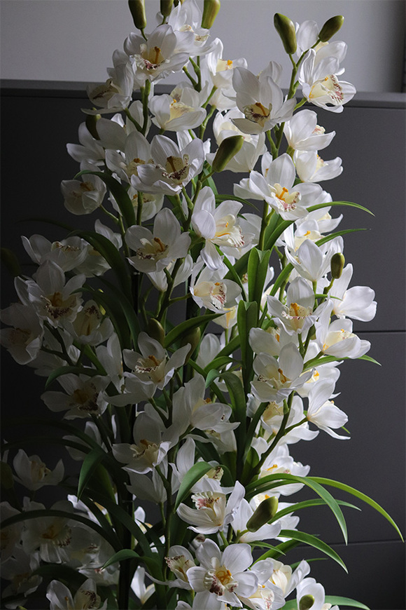 Cymbydium Ambasador, duży sztuczny storczyk