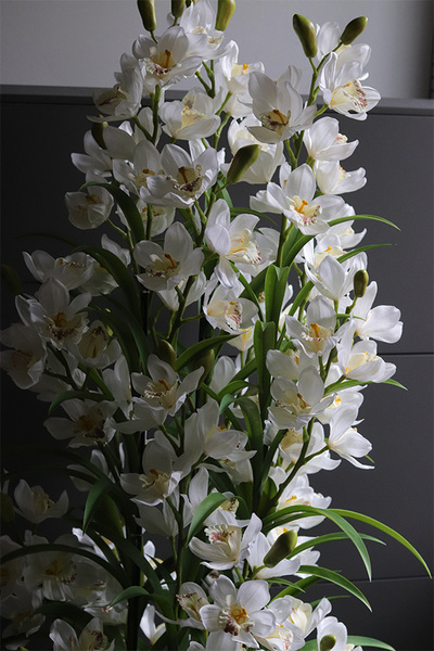 Cymbydium Ambasador, duży sztuczny storczyk