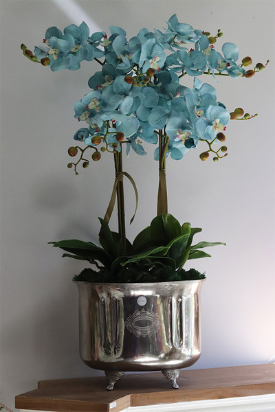 Blue Redi Cooler, turkusowy sztuczny storczyk w coolerze